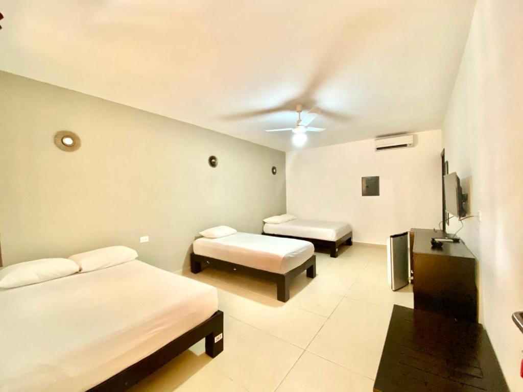 We Playa Hotel 普拉亚卡门 外观 照片